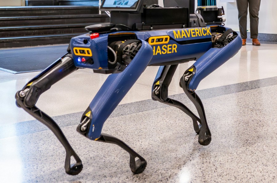 Quadrupeds